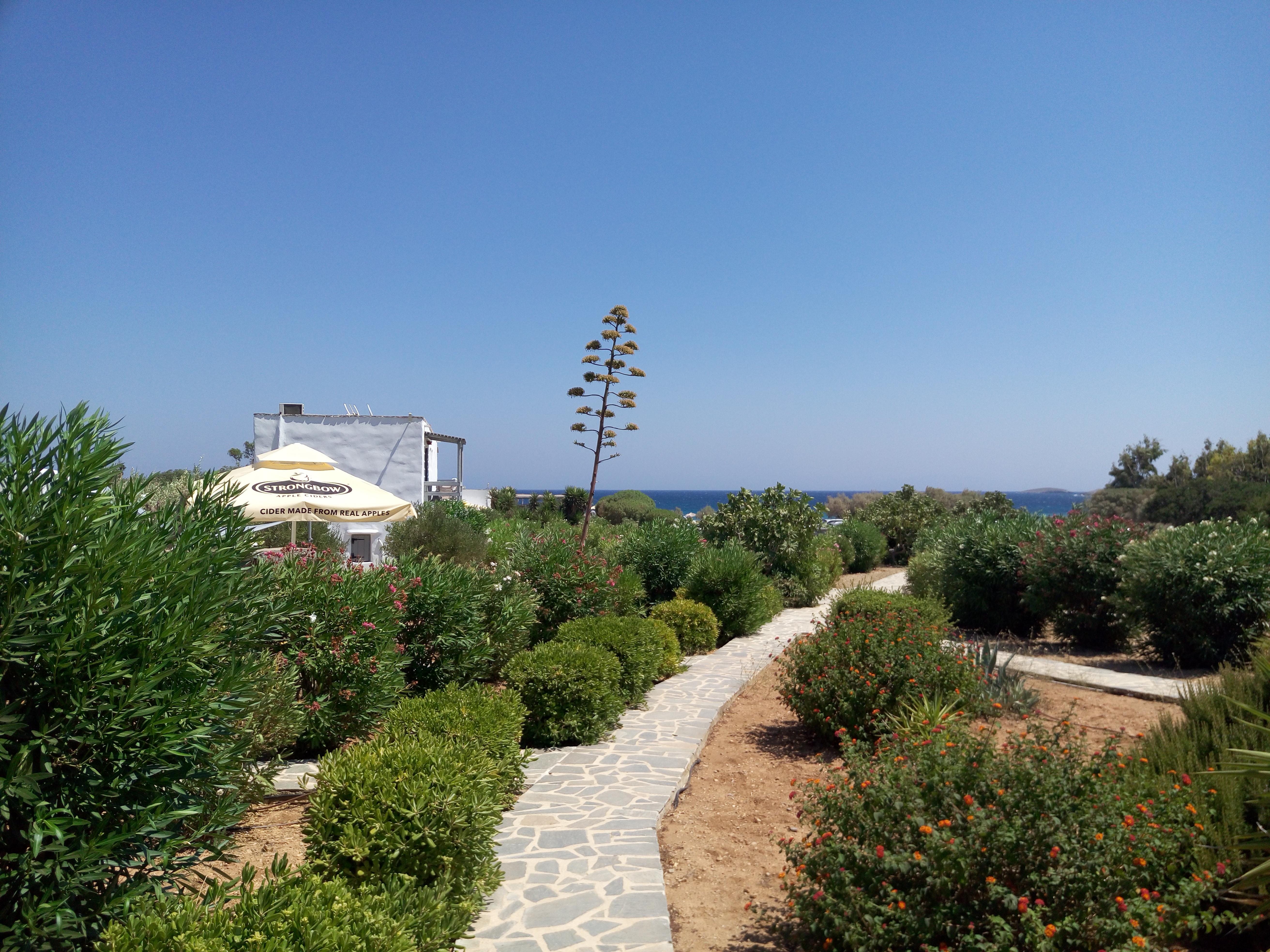 Agios Georgios  Soros Beach Antiparos المظهر الخارجي الصورة
