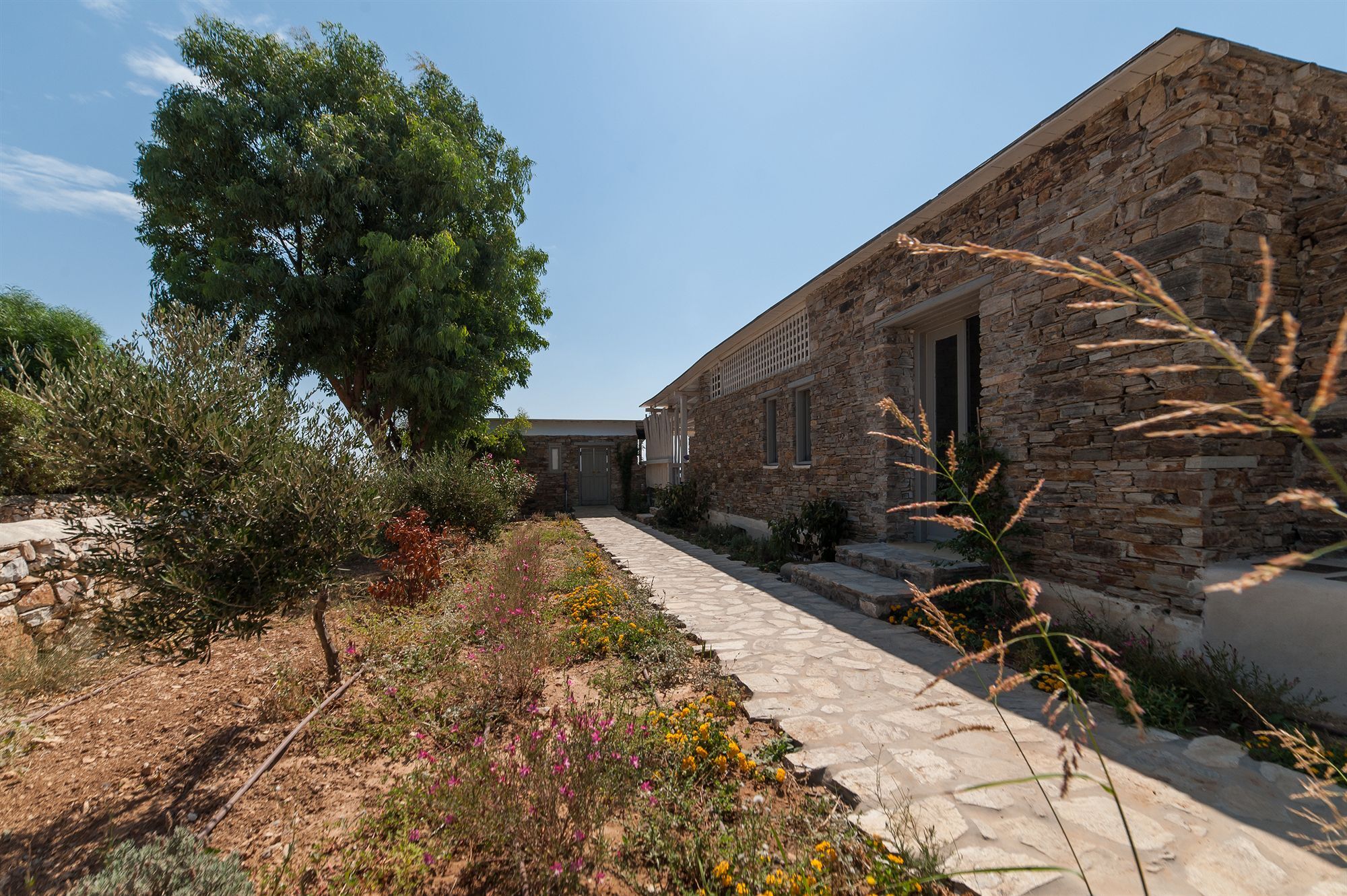Agios Georgios  Soros Beach Antiparos المظهر الخارجي الصورة